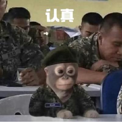 Professional headshot of the software engineer